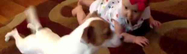 Ono kada pas uči bebu kako puzati (VIDEO)