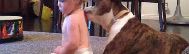 Nećete vjerovati šta je ovaj pas bokser učinio ovoj bebi! (VIDEO)