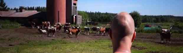 Pogledajte kako šaptač životinjama priziva krdo krava (VIDEO)