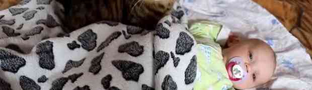 Pogledajte šta je ova mačka učinila ovoj bebi! (VIDEO)