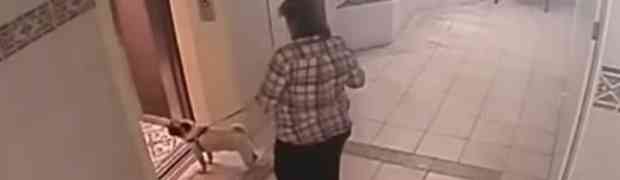 Ušla je u lift sa svojim psom. Šokirani smo onim što je snimila nadzorna kamera!