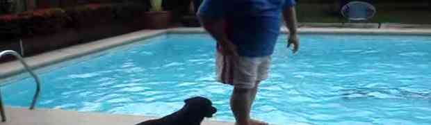 Stao je pokraj bazena, no dobro obratite pažnju na crnog psa...