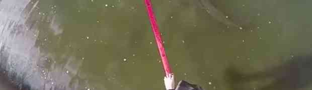 Hodao je po žici dok je ispod njega plivao krokodil...a onda se dogodilo OVO! (VIDEO)