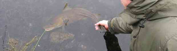 Želio je ribu uhvatiti rukom, međutim tada je izronilo nešto mnogo veće i neočekivano!