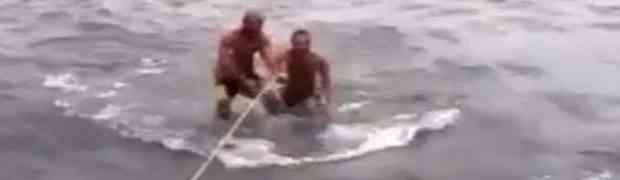 LUĐACI NA KVADRAT: Pogledajte dvojicu mangupa koji su odlučili da surfaju na kitopsini!
