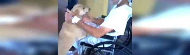 Zaglavio je u bolnici dugih 8 sedmica, ali kada je medicinska sestra uradila ovo dobro pazite šta je pas učinio (VIDEO)