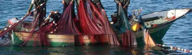 Pogledajte šta su ribari ulovili u mrežu nedaleko od španske obale! (FOTO)