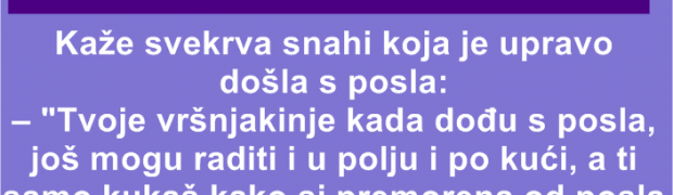 Kaže svekrva snahi koja je upravo došla s posla...