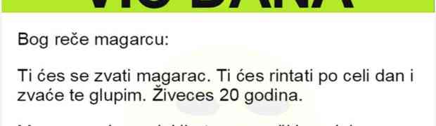 VIC DANA: U toku stvaranja svijeta Bog je odlučivao ko će i kako živjeti. Evo ko je najgore prošao...