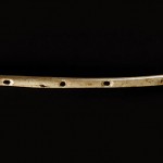 Najstariji muzički instrument