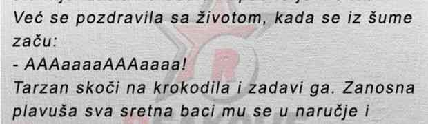 FENOMENALNA PLAVUŠA PREŽIVI BRODOLOM, A ONDA JOJ SE DESI OVO!