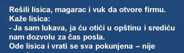 VIC DANA: Riješili lisica, vuk i magarac da otvore firmu...