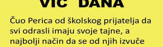 VIC DANA: Prava istina....