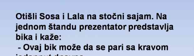 VIC DANA: Otišli Sosa i Lala na stočni sajam...