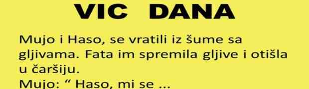 VIC DANA: Mujo i Haso jedu gljive...