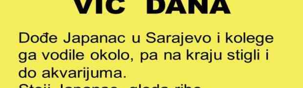 VIC DANA: Bosanac uči da gospodari nižim vrstama