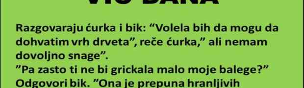 VIC DANA: Životna lekcija br. 2