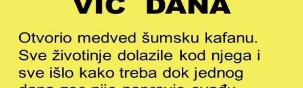 VIC DANA: Šumska kafana