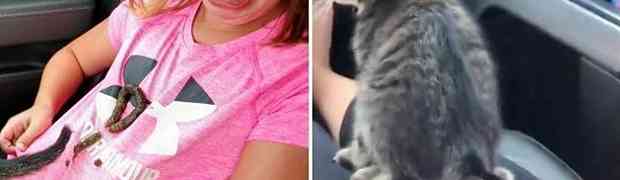 Mače se pokakilo djevojčici na majicu... Njena reakcija nasmijala je cijeli internet (VIDEO)