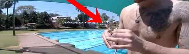 Spasio je guštera iz bazena, a onda je na 0:16 USLIJEDIO PRAVI ŠOK! (VIDEO)